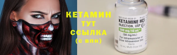 прущие грибы Сатка