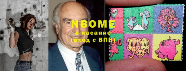 прущие грибы Сатка