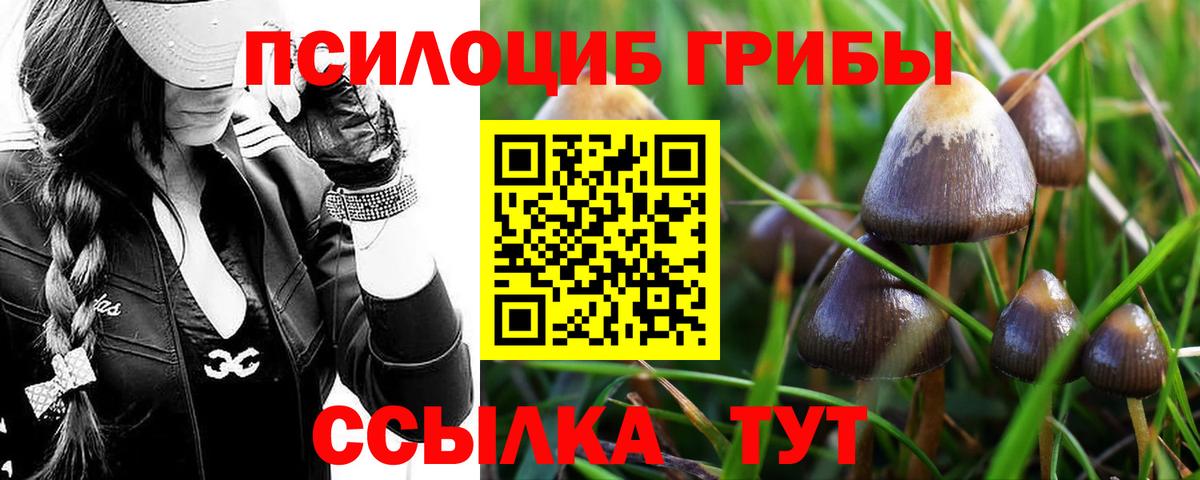 Беслан  Псилоцибиновые грибы MAGIC MUSHROOMS  купить наркоту  Вход с VPN 