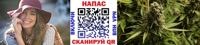продажа наркотиков  Беслан  Бошки Шишки конопля 